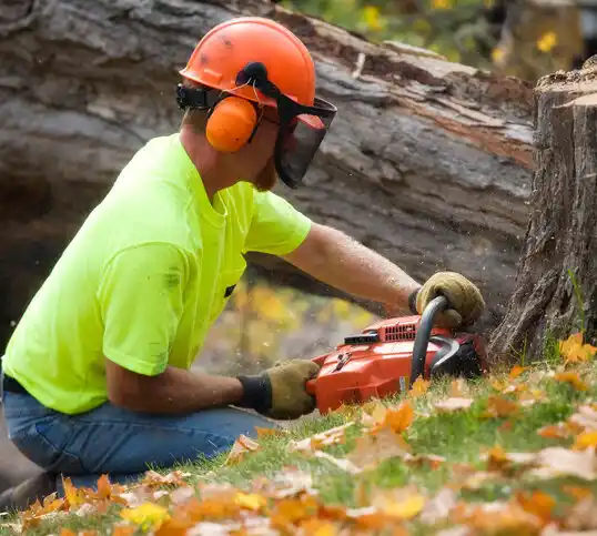 tree services Scribner